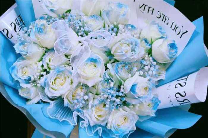 ֣ݹл